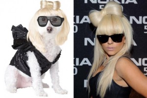 ladygagadogcosume